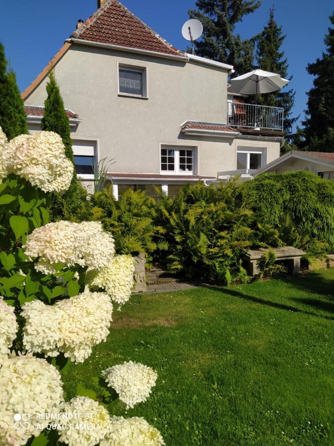 Kreativ Ferienwohnung Domizil Der Sinne باد ليبينويردا المظهر الخارجي الصورة